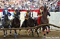 VBS_1220 - Palio di Asti 2024_1